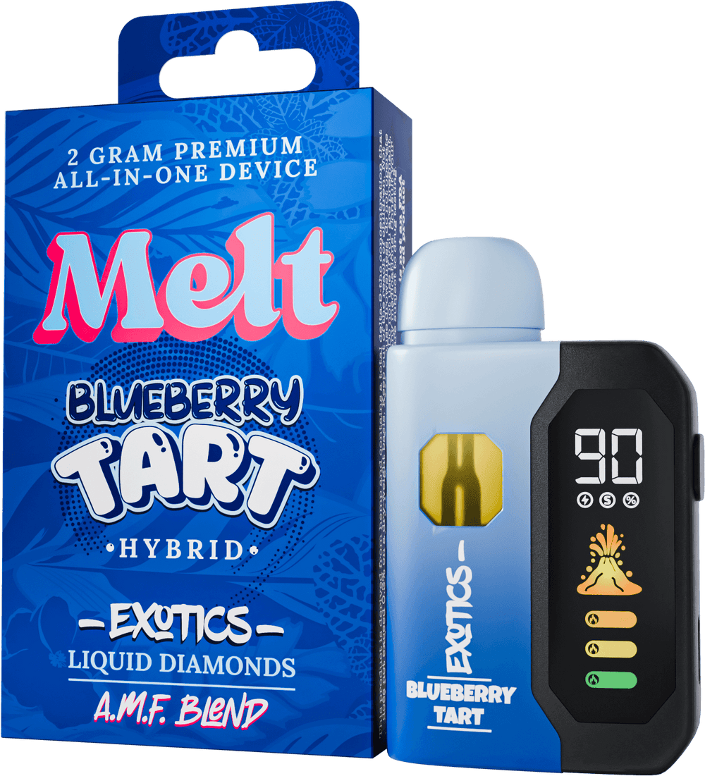 Melt AIO 2G — Blueberry Tart