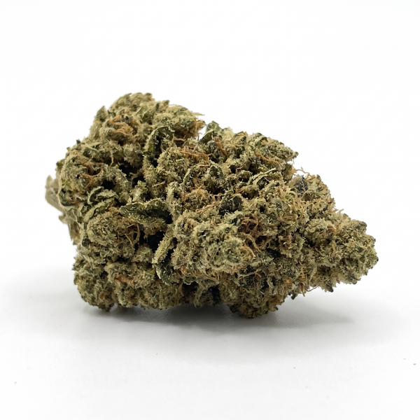 Gelato - Hybrid