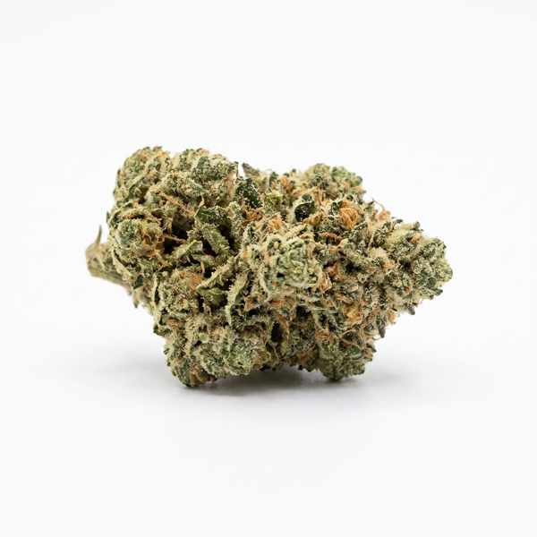 G41 Smalls - Hybrid