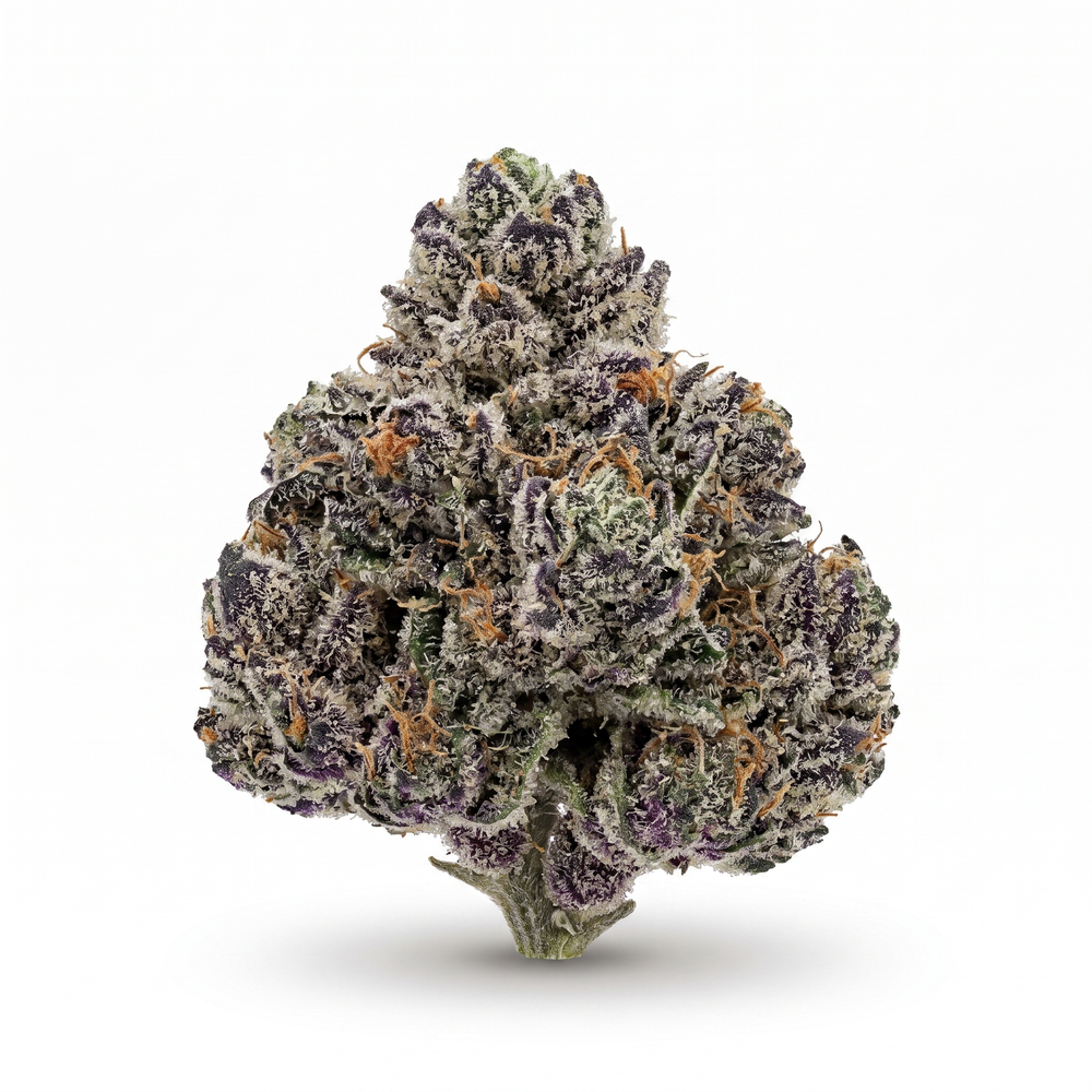 Lady Pink Smalls - Hybrid