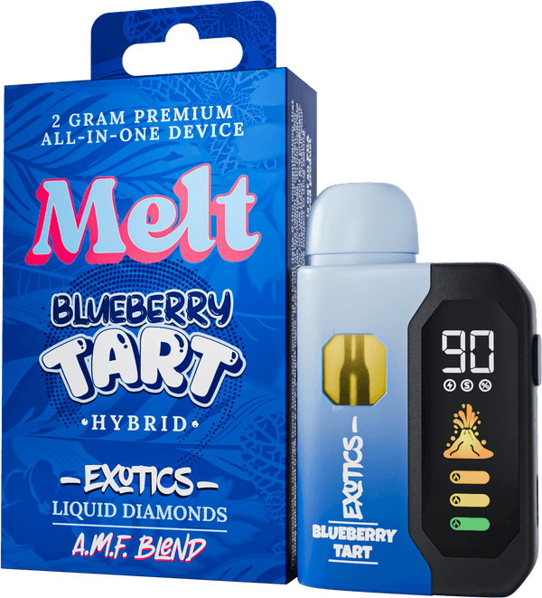 Melt AIO 2G — Blueberry Tart