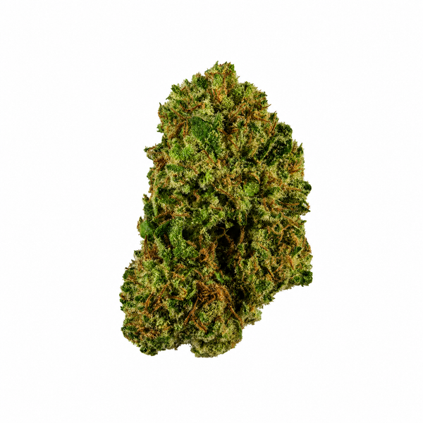 Harlequin - Hybrid
