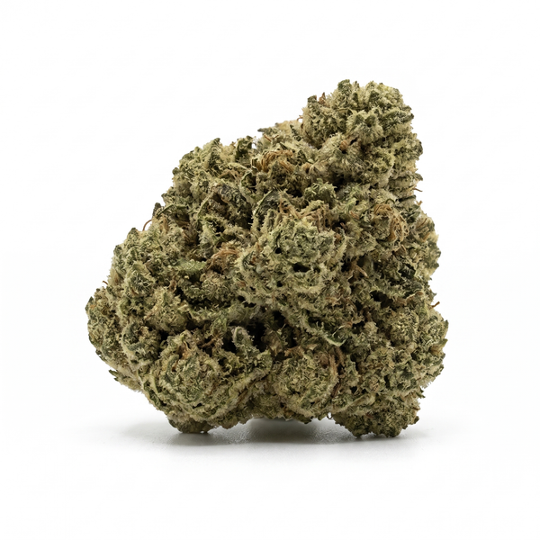 Sunset MAC - Hybrid