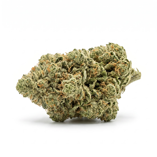 Blue Dream - Hybrid