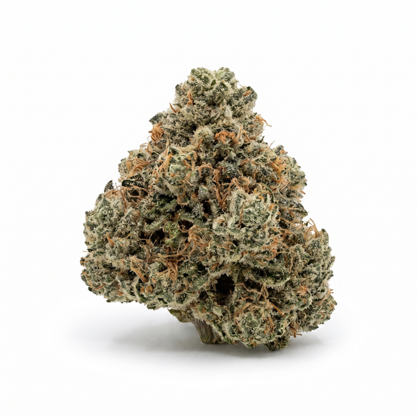 Lemon Tree - Hybrid