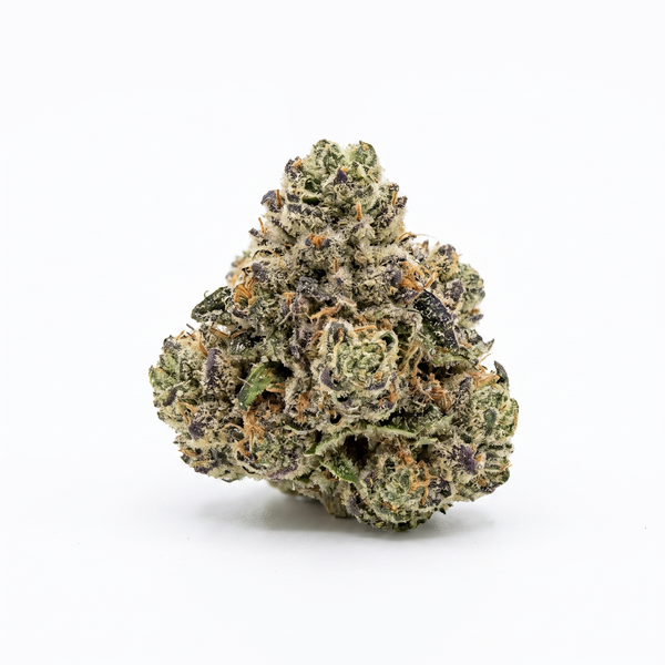 Gush Mintz Smalls - Hybrid
