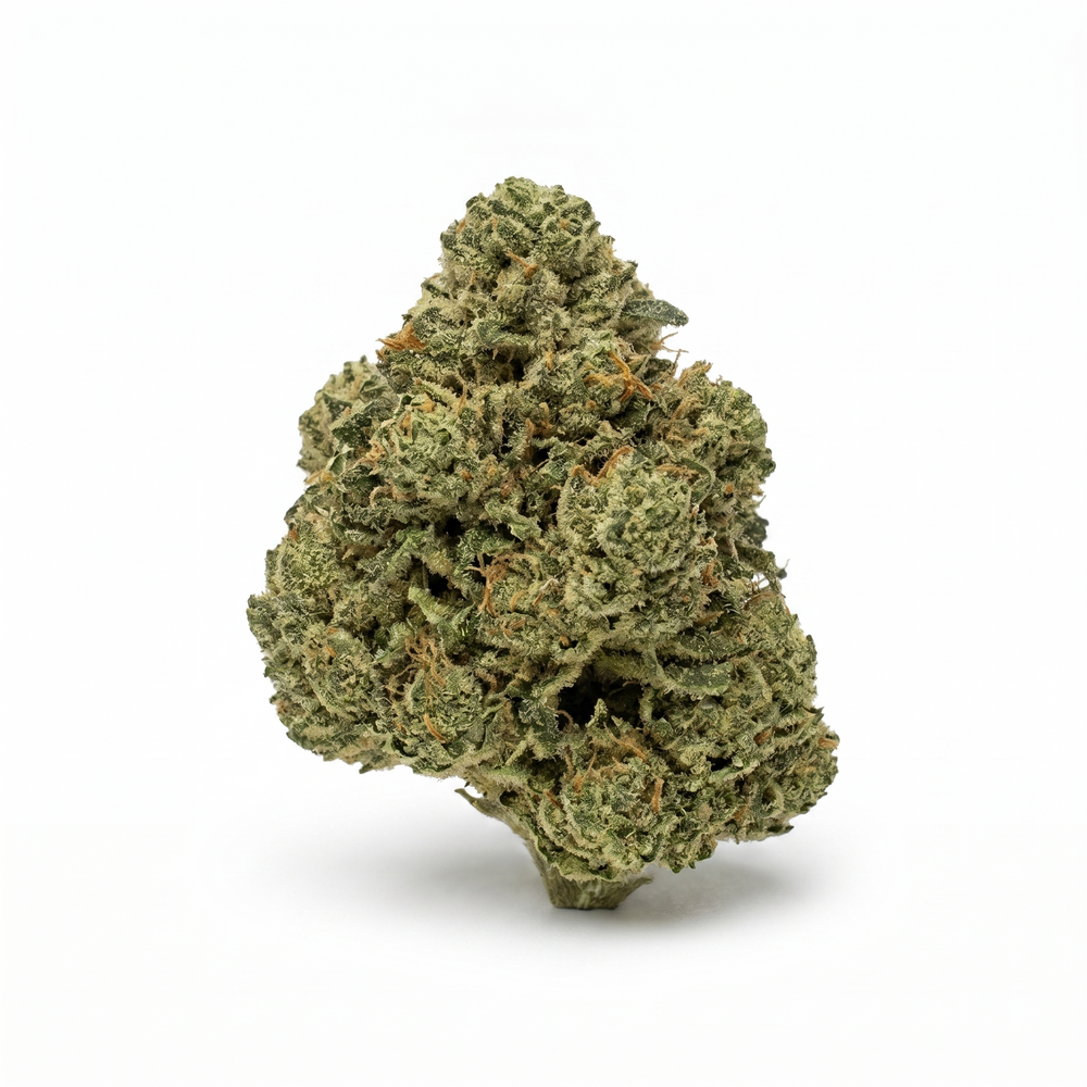 Jungle Cake - Hybrid