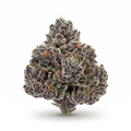 $49 OZ Crazy Steal — Lady Pink Smalls (Hybrid)