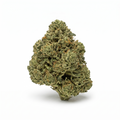 $95 OZ Crazy Steal — Jungle Cake (Hybrid)