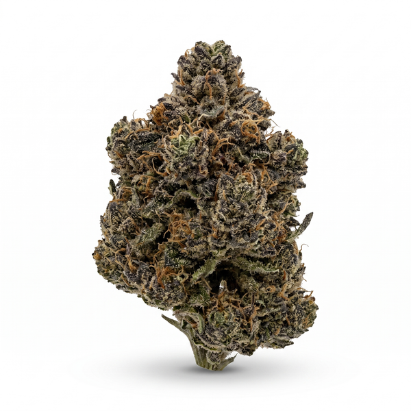 Lamb's Bread - Sativa