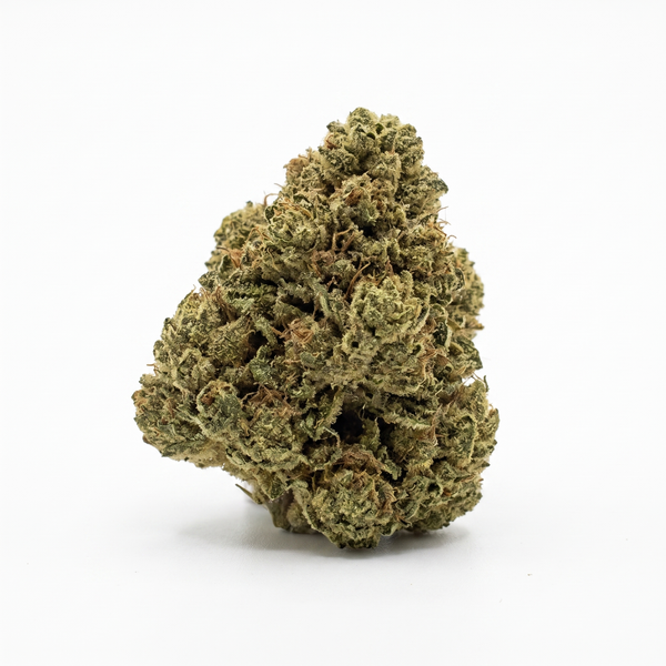 Sunset Sherbet - Indica
